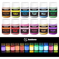 HEMOER Polvo Fluorescente- 12 colores Pigmentos Luminiscente para Pintura- uñas- manualidades- resina epoxi- cara…
